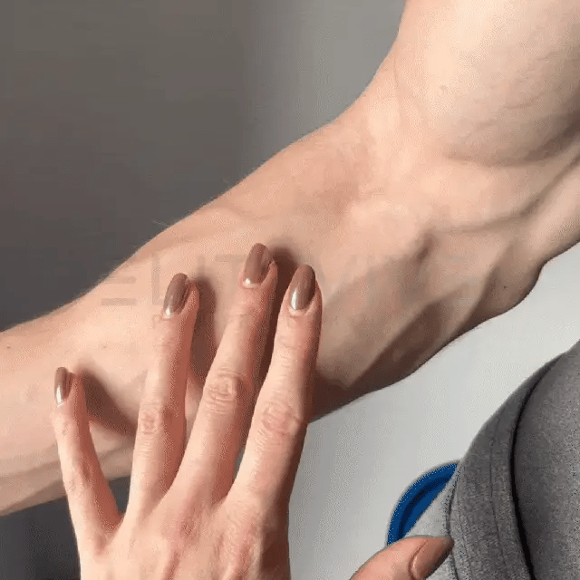 Hand Grip Strengthener Balls – Build Finger & Forearm Strength | PulseForm PulseForm