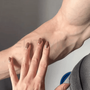 Hand Grip Strengthener Balls – Build Finger & Forearm Strength | PulseForm PulseForm